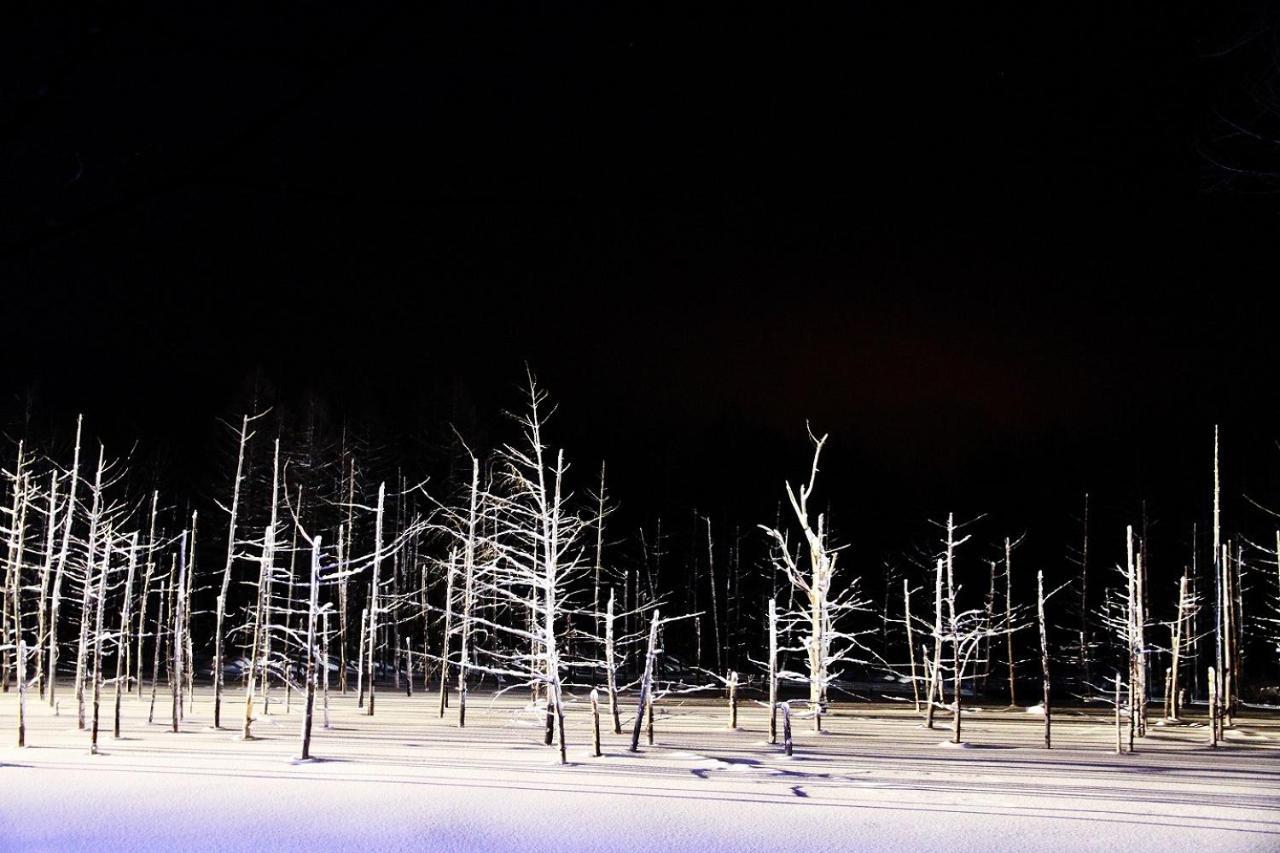 Stay In Passion Asahikawa Ngoại thất bức ảnh